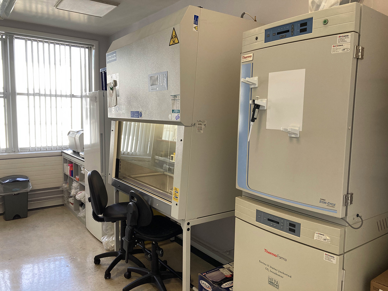 image of 3cf lab
